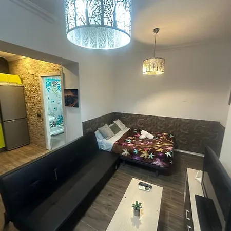 Apartment Fantastic Estudio Cerca Del Carrefour Rosaleda *